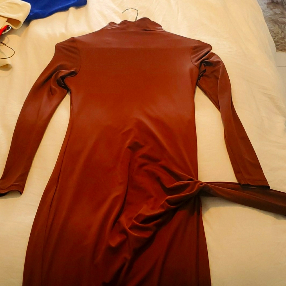 Brown dress turtle neck